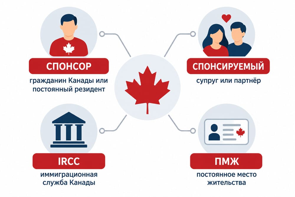 Инфографика: основные понятия спонсорства супруга в Канаде